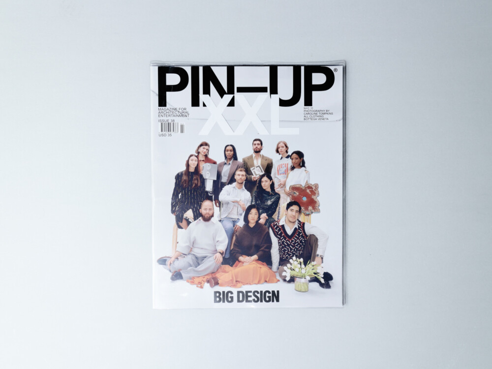 Pin-Up №38