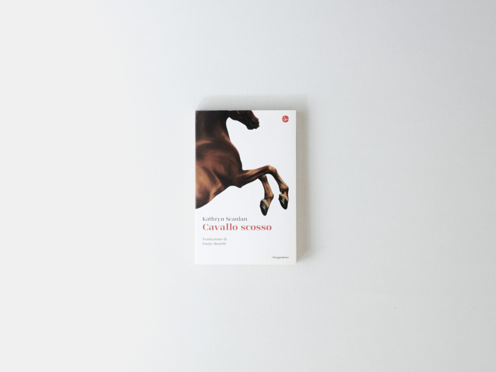 Cavallo Scosso