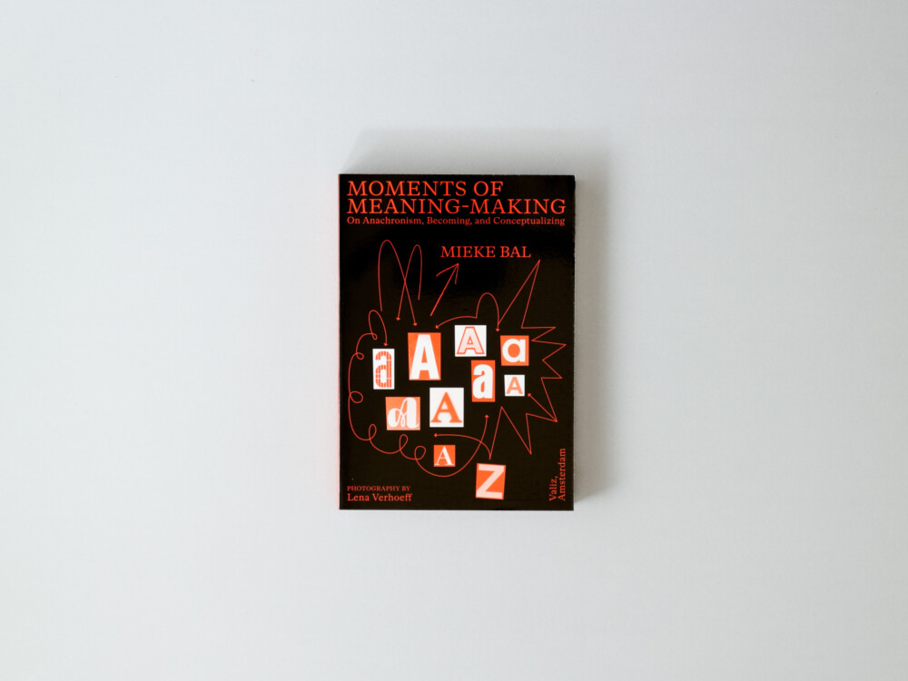 Moments of Meaning-Making