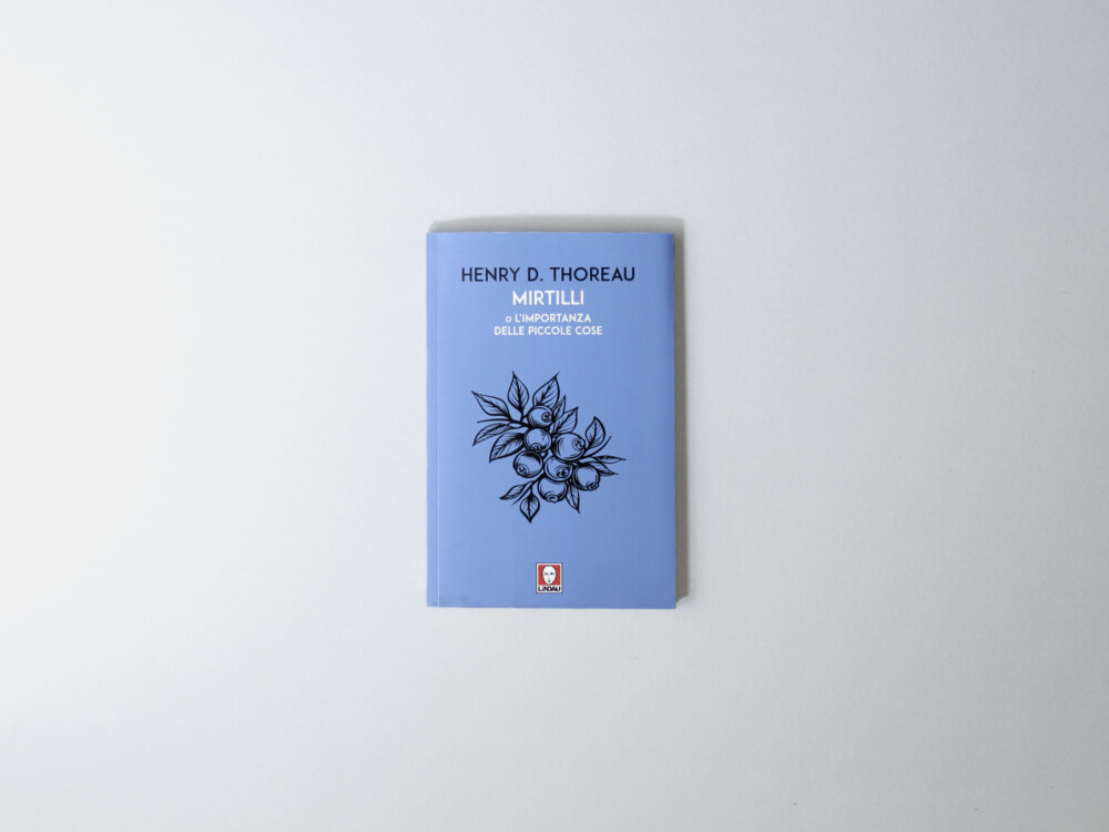 Mirtilli o l'Importanza delle Piccole Cose